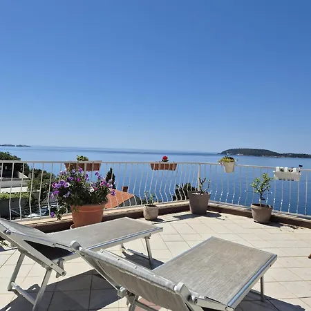Matea Apartment Zaton (Dubrovnik-Neretva)
